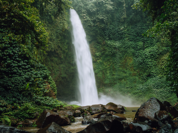 Bukan Hanya Pantai, 5 Tempat Ini Wajib Kamu Datangi Saat Berlibur di Bali