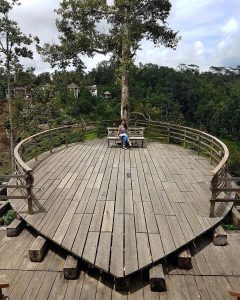 Agrowisata Bali Pulina Ubud