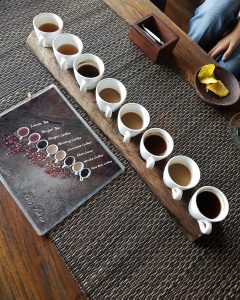 Agrowisata Bali Pulina Ubud