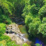 Air Terjun Dusun Kuning Bali