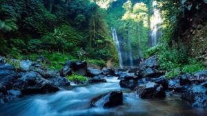 Air Terjun Fiji Desa Lemukih