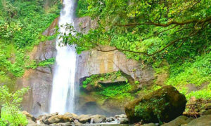 Air Terjun Wana Ayu Sukasada