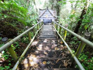 Anak tangga yang harus dilalui saat menuju Air Terjun Nungnung via backpackbalitour.com