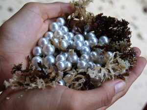 Atlas Pearl Farm Bali