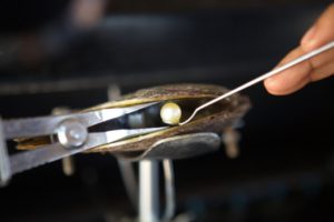 Atlas Pearl Farm Bali