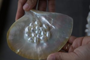 Atlas Pearl Farm Bali