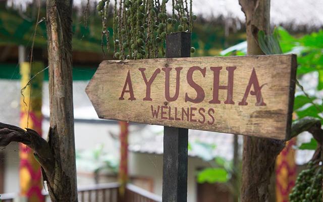 Ayusha Wellness Spa Ubud