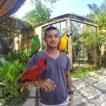 Bali Bird Park