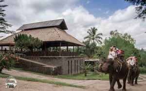 Bali Elephant Camp Plaga