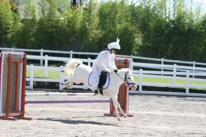 Bali Equestrian Centre Canggu