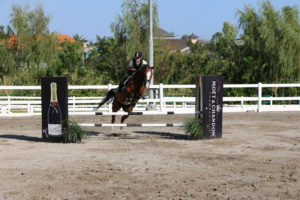 Bali Equestrian Centre Canggu