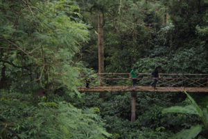 Bali Jungle Camping Padangan