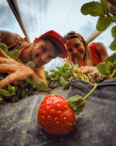 Bali Strawberry Farm and Restaurant