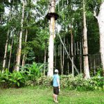 Bali Treetop Adventure Park