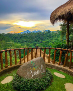 Kopi kini menjadi komoditas yang banyak dicari oleh banyak orang. Apalagi, menikmati kopi kini sudah menjadi bagian dari gaya hidup. Dari sekian banyak kopi, kopi luwak memiliki reputasi yang spesial sebagai kopi termahal dunia. Nah, ketika liburan ke Bali, Anda bisa secara langsung melihat proses pembuatan kopi luwak di Basanta Agro Organic Ubud. Kopi luwak kerap disebut sebagai kopi termahal dunia. Kopi ini memiliki cita rasa yang unik dan dikenal sebagai kopi yang khas dari Asia Tenggara. Keberadaan kopi luwak dari Asia Tenggara sudah begitu lama. Hanya saja, popularitasnya mulai meningkat pada tahun 1980-an. Harga dari kopi ini, bisa dijumpai di pasaran dengan harga berkisar di angka 100 USD per 450 gram. Nah, pengalaman berkunjung ke Basanta Agro Organic Ubud menjadi kesempatan langka untuk melihat proses pembuatan kopi termahal dunia ini. Dibandingkan dengan kopi lain, pembuatan kopi luwak memang berbeda. Alasannya, karena kopi ini melibatkan keberadaan musang atau luwak yang memakan buah kopi dan mengeluarkan biji kopi lewat kotorannya. Aktivitas Wisata Utama di Basanta Agro Organic Ubud Basanta Agro Organic Ubud merupakan pusat wisata edukatif dan rekreasi yang ada di kawasan Tegalalang, Ubud. Lewat tempat wisata ini, pihak pengelola ingin mengenalkan tradisi Bali yang unik dan ramah lingkungan. Tidak ketinggalan, proses pembuatan kopi luwak. Perlu Anda ketahui, pembuatan kopi luwak bisa dilakukan dengan kopi jenis apapun, termasuk kopi robusta ataupun arabika. Hal paling penting dalam pembuatan kopi ini adalah, adanya fermentasi yang terjadi di bagian perut luwak. Sebelum diproses lebih lanjut, kopi luwak yang keluar bersama kotoran luwak, dibersihkan terlebih dahulu dan dijemur. Setelah dalam kondisi bersih, luwak siap untuk ditumbuk dan menghilangkan lapisan terluarnya. Dengan begitu, bisa dipastikan tidak ada kotoran yang menempel. Selain berkesempatan untuk melihat proses pembuatan kopi luwak, Anda juga akan memperoleh beragam pengetahuan yang bermanfaat lainnya. Apalagi, pihak Basanta Agro Organic Ubud juga dikenal memiliki produk kopi lainnya, seperti kopi kelapa, kopi ginseng, ataupun kopi vanilla. Ada pula produk berupa teh yang tak kalah nikmatnya dibanding produk kopi Basanta Agro Organic Ubud. Pilihan produk teh yang bisa dibeli juga beragam, termasuk di antaranya adalah teh hijau, teh hitam, teh jahe, lemon tea, dan sebagainya. Tidak ketinggalan, pihak pengelola Basanta Agro Organic Ubud juga menyediakan restoran dengan beragam sajian yang tak kalah enak. Bagi para vegetarian, pihak hotel juga menyediakan menu yang ramah dengan lidah Anda. Disertai dengan suasana sekitar yang hijau dan alami, pengalaman liburan di sini pun terasa begitu menenangkan. Lokasi Basanta Agro Organic Ubud Suasana alami yang bisa Anda temukan di tempat ini, dapat dengan mudah dikunjungi. Anda bisa datang secara langsung ke alamat Basanta Agro Organic Ubud yang ada di Jl. Br Jasan, Br. Jasan, Sebatu, Tegalalang, di Kabupaten Gianyar. Tempat ini buka pada rentang antara pukul 9 pagi sampai pukul 6 sore.