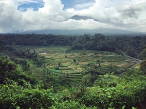 Bukit Jambul Karangasem