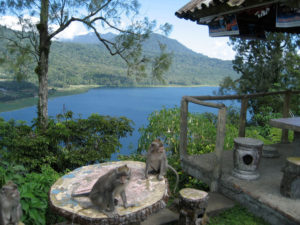 Bukit Kembar Gobleg Buleleng