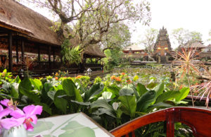 Cafe Lotus Ubud
