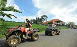 Desa Bongkasa Pertiwi Abiansemal