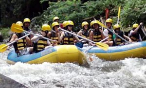 Desa Bongkasa Pertiwi Abiansemal