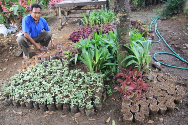 Desa Petiga Tabanan