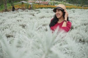 Desa Temukus Karangasem