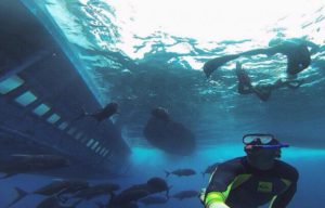 Desa Toyapakeh Nusa Penida