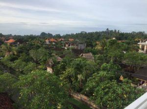 Desa Wisata Nyuh Kuning Ubud