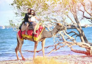 Dream Island Mertasari