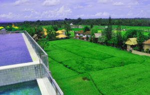 Evitel Resort Ubud