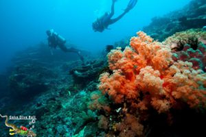 Gili Tepekong Padang Bai