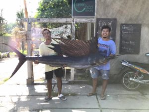 Green Coco Warung Amed