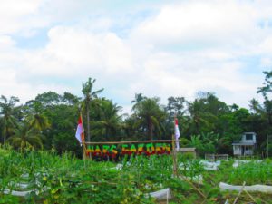 Hars Garden Tree Houses Ubud