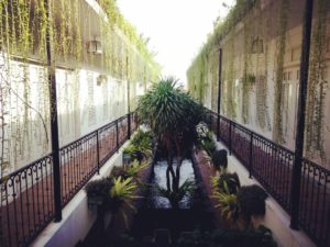 Hotel Brown Feather Bali