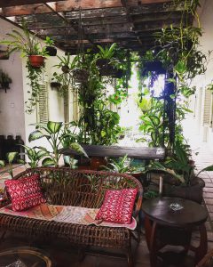 Hotel Brown Feather Bali