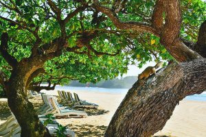 Hotel Grand Hyatt Bali