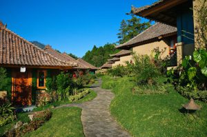 Hotel Strawberry Hill Bedugul