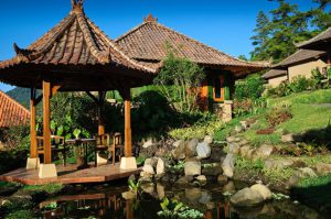 Hotel Strawberry Hill Bedugul