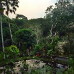 Hotel Tjampuhan and Spa