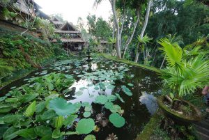 Hotel Tjampuhan and Spa