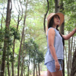 Hutan Pinus Kintamani