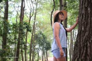 Hutan Pinus Kintamani