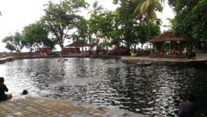 Kolam Renang Alami Air Sanih