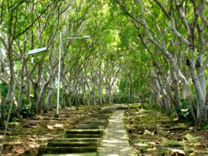 Makam Jayaprana Bali Barat