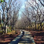 Makam Jayaprana Bali Barat