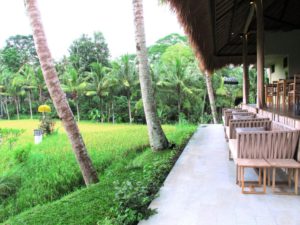 Mathis Retreat Ubud