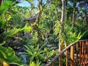 Melati Bali Homestay Canggu