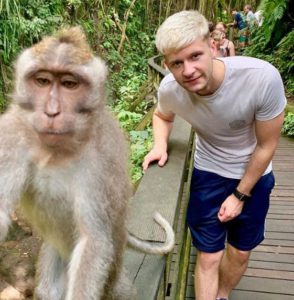 Monkey Selfie Bali
