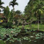 Museum Puri Lukisan Ubud