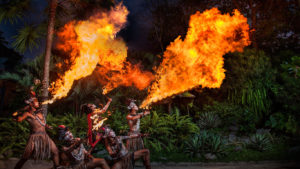 Night at Zoo Gianyar